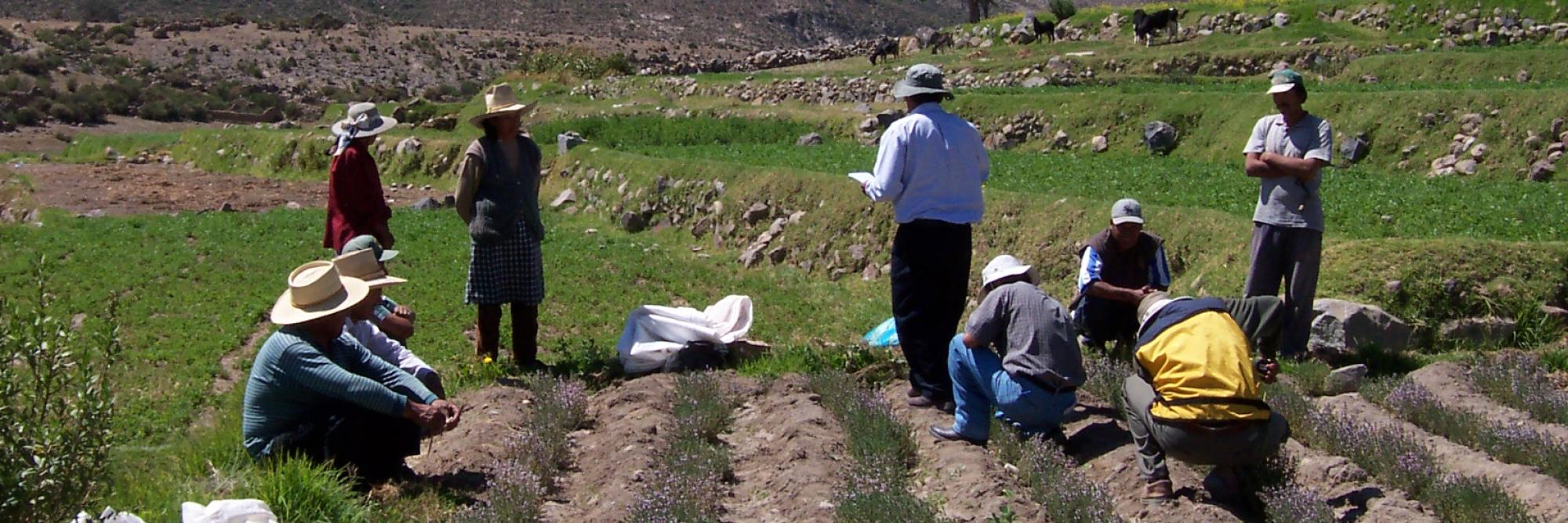 Agroécologie au Pérou